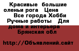 Красивые  большие оленьи рога › Цена ­ 3 000 - Все города Хобби. Ручные работы » Для дома и интерьера   . Брянская обл.